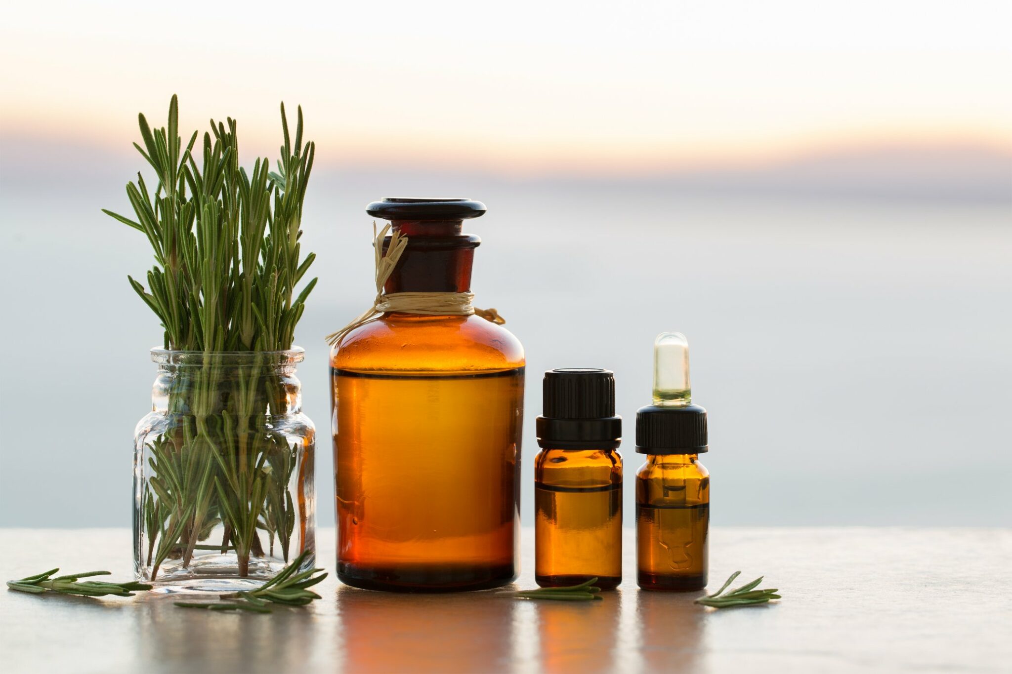 6 Formas de utilizar el romero para el crecimiento del cabello – Noticito
