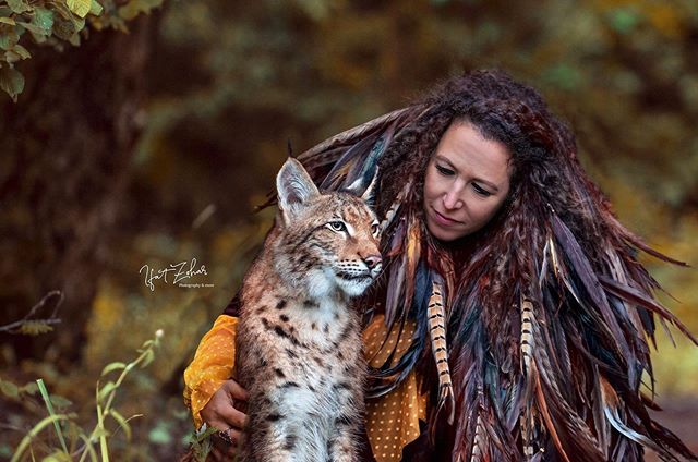 gatitos Lynx y se convierte en una sensación en Internet