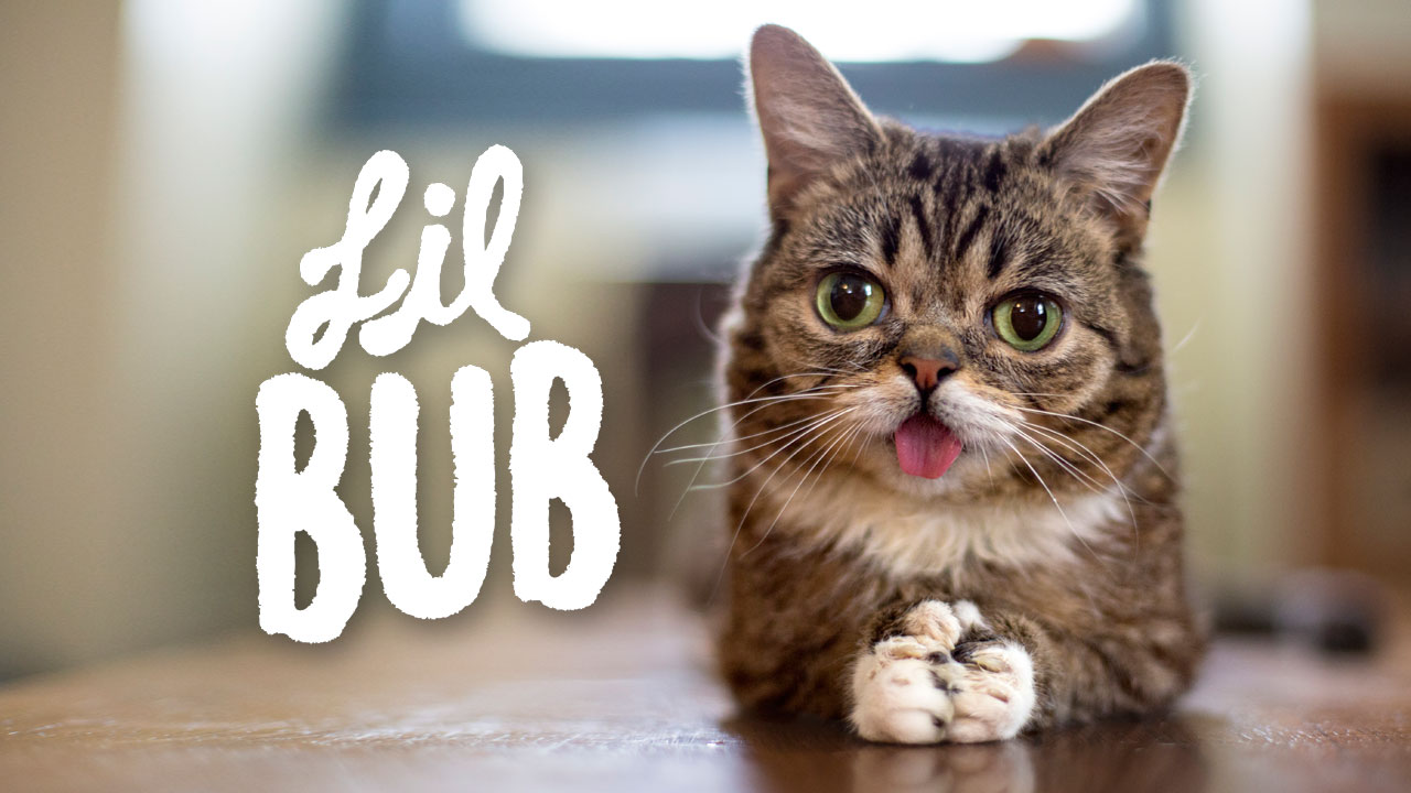 Lil Bab 1: