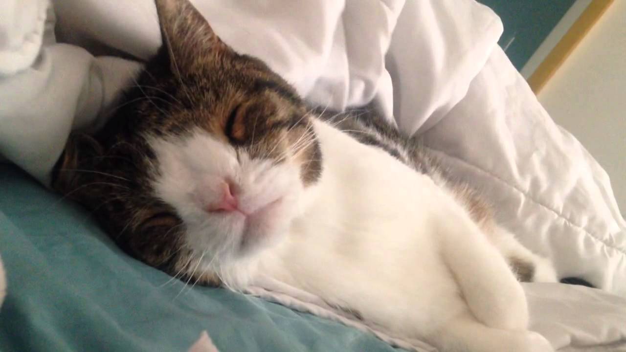 Monty 4:00 p.m.