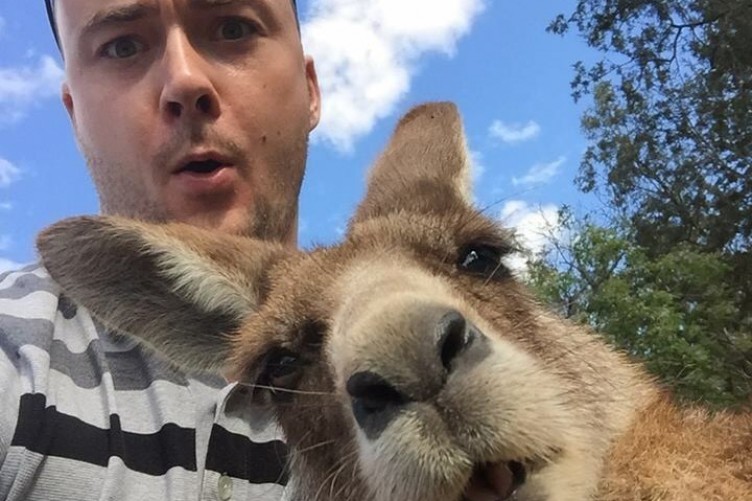 Snapting with Wild Animals es una nueva tendencia 21