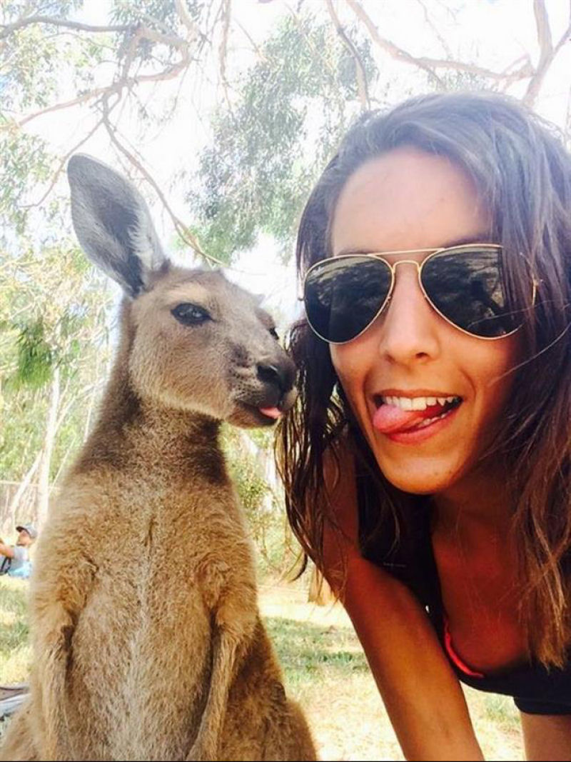 Snapting with Wild Animals es una nueva tendencia 24