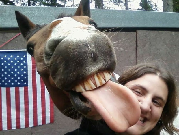 Snapting with Wild Animals es una nueva tendencia 5