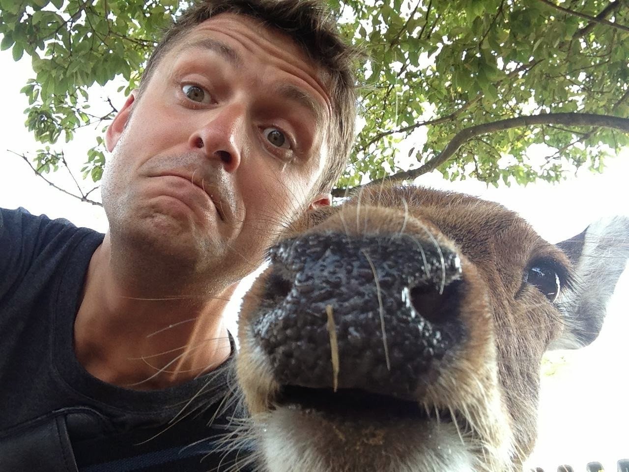 Snapting with Wild Animals es una nueva tendencia 8