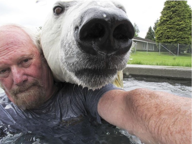 Selfing Selfies: