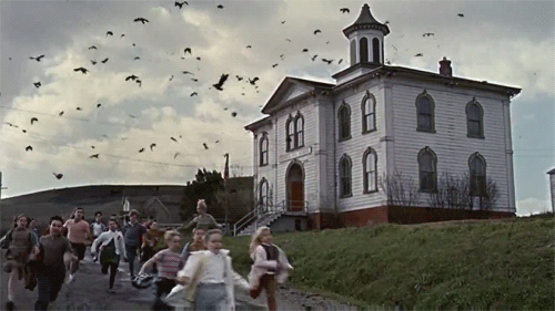 top-10-peliculas-de-terror-animales-08