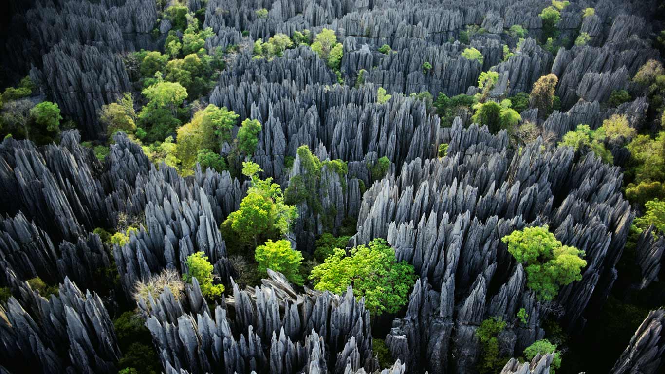 12-tsingy de bemaraha bosque de piedra madagasar