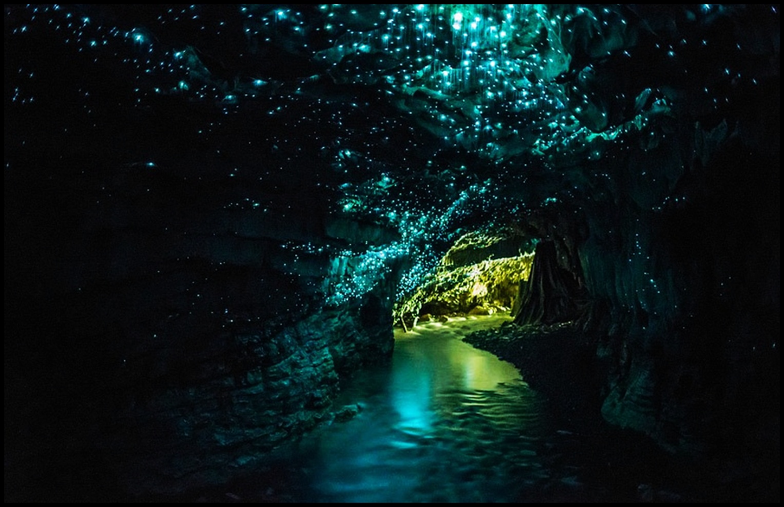 14 pesas bailando en cueva de Nueva Zelanda