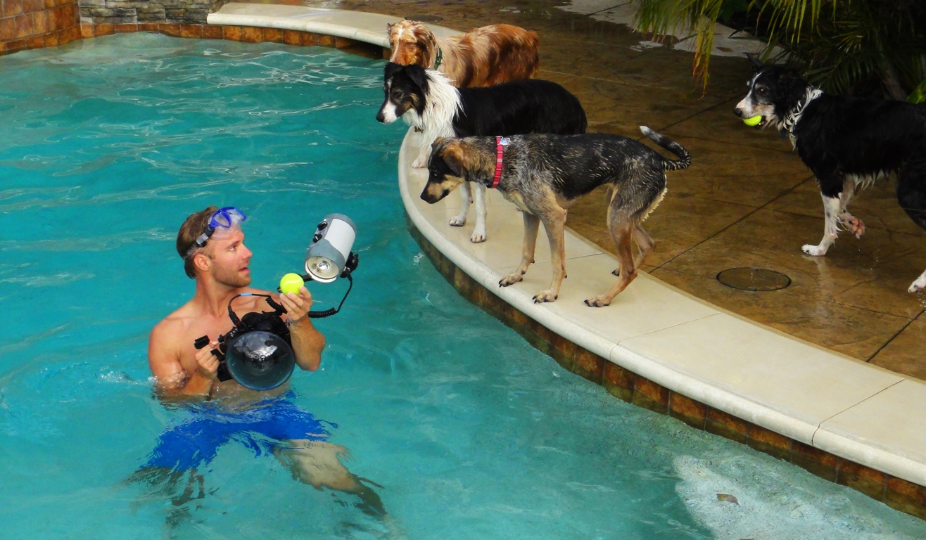 Perros submarinos, Seth Casteel 18