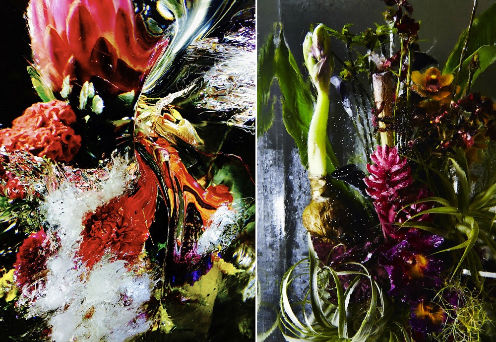 Flores de hielo