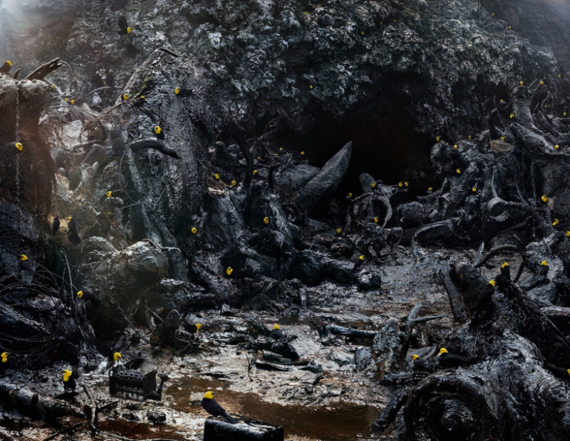 Reino de animales apocalípticos Simen Johan:
