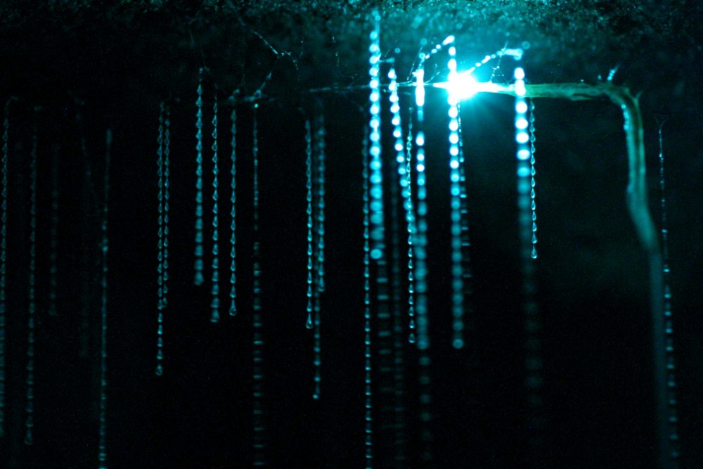 Galaxia en una cueva 4