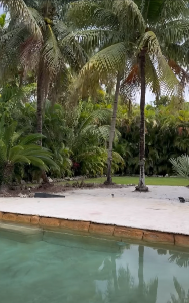 Jardín con piscina de la nueva casa de Francisca Lachapel